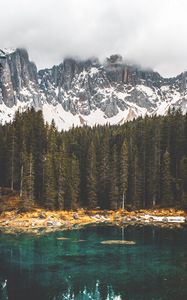 Preview wallpaper fog, lake, forest, rocks, reflection