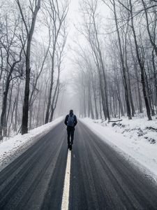 Preview wallpaper fog, man, snow, trees, road, loneliness