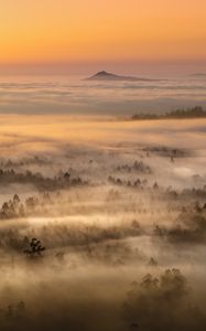 Preview wallpaper fog, mountain, forest, trees, nature