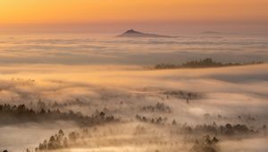 Preview wallpaper fog, mountain, forest, trees, nature