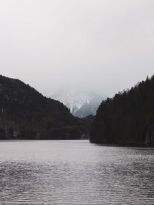 Preview wallpaper fog, mountain, river, forest