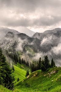 Preview wallpaper fog, mountains, forest, peaks, grass