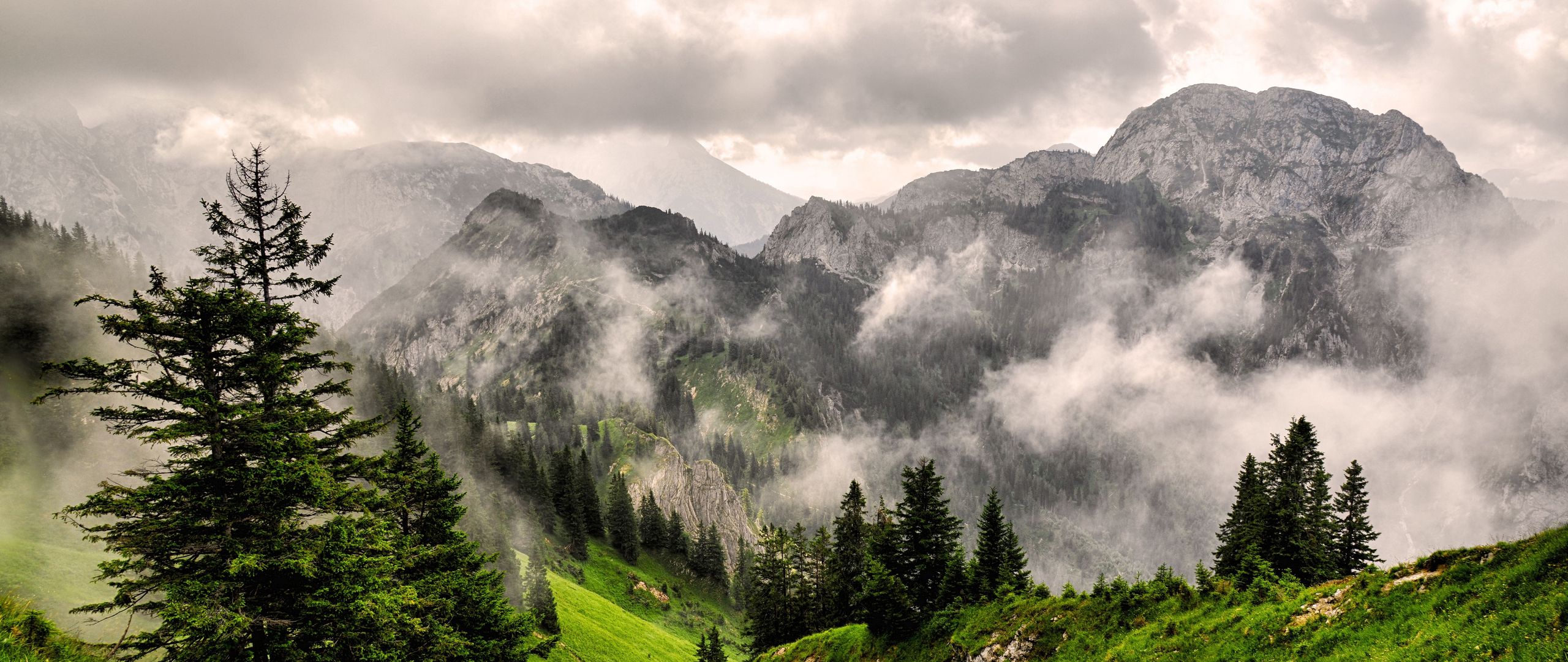 Download wallpaper 2560x1080 fog, mountains, forest, peaks, grass dual