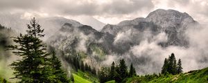 Preview wallpaper fog, mountains, forest, peaks, grass