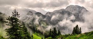 Preview wallpaper fog, mountains, forest, peaks, grass