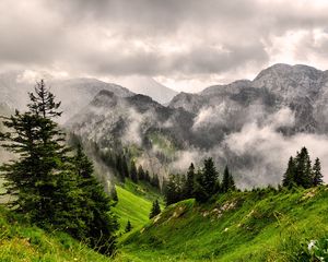 Preview wallpaper fog, mountains, forest, peaks, grass