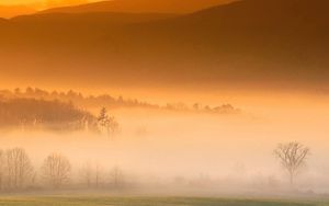 Preview wallpaper fog, mountains, plain, veil, trees, haze, tenessee