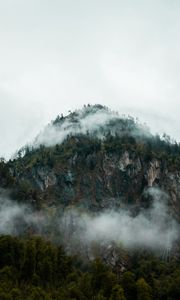 Preview wallpaper fog, peak, forest, rocks, mountains