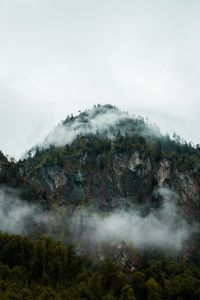 Preview wallpaper fog, peak, forest, rocks, mountains