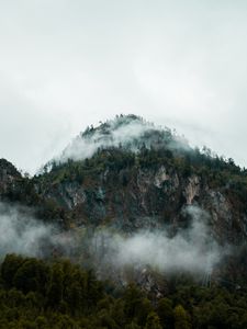 Preview wallpaper fog, peak, forest, rocks, mountains