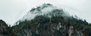 Preview wallpaper fog, peak, forest, rocks, mountains