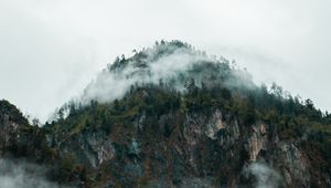 Preview wallpaper fog, peak, forest, rocks, mountains