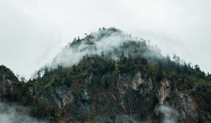 Preview wallpaper fog, peak, forest, rocks, mountains