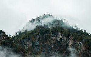 Preview wallpaper fog, peak, forest, rocks, mountains