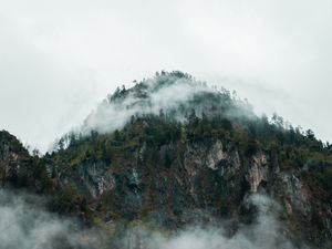 Preview wallpaper fog, peak, forest, rocks, mountains