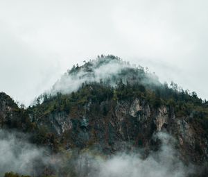 Preview wallpaper fog, peak, forest, rocks, mountains