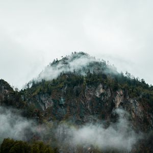 Preview wallpaper fog, peak, forest, rocks, mountains