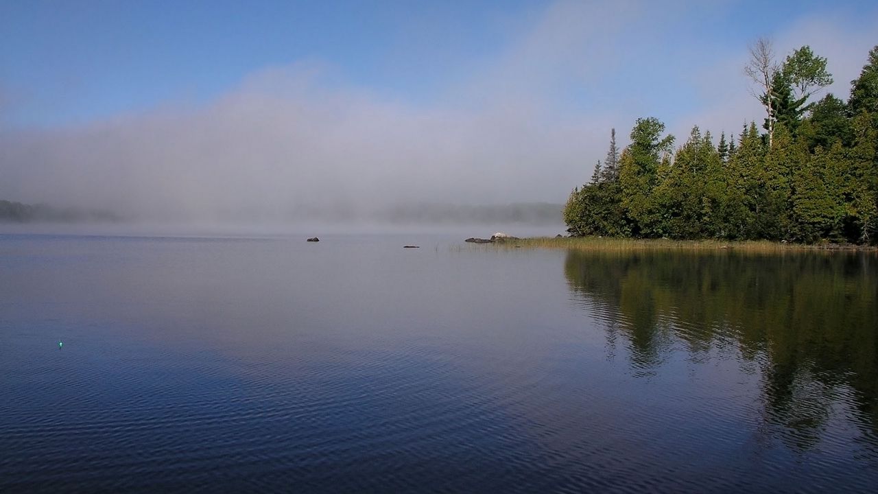 Wallpaper fog, river, coast, trees, ripples