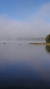 Preview wallpaper fog, river, coast, trees, ripples