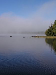 Preview wallpaper fog, river, coast, trees, ripples