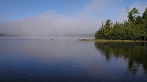 Preview wallpaper fog, river, coast, trees, ripples
