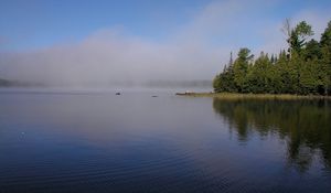 Preview wallpaper fog, river, coast, trees, ripples