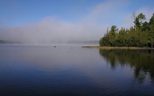 Preview wallpaper fog, river, coast, trees, ripples