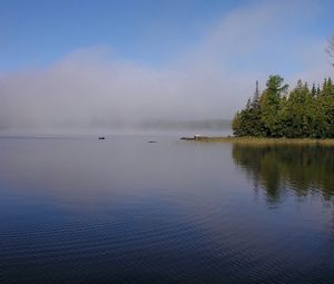 Preview wallpaper fog, river, coast, trees, ripples