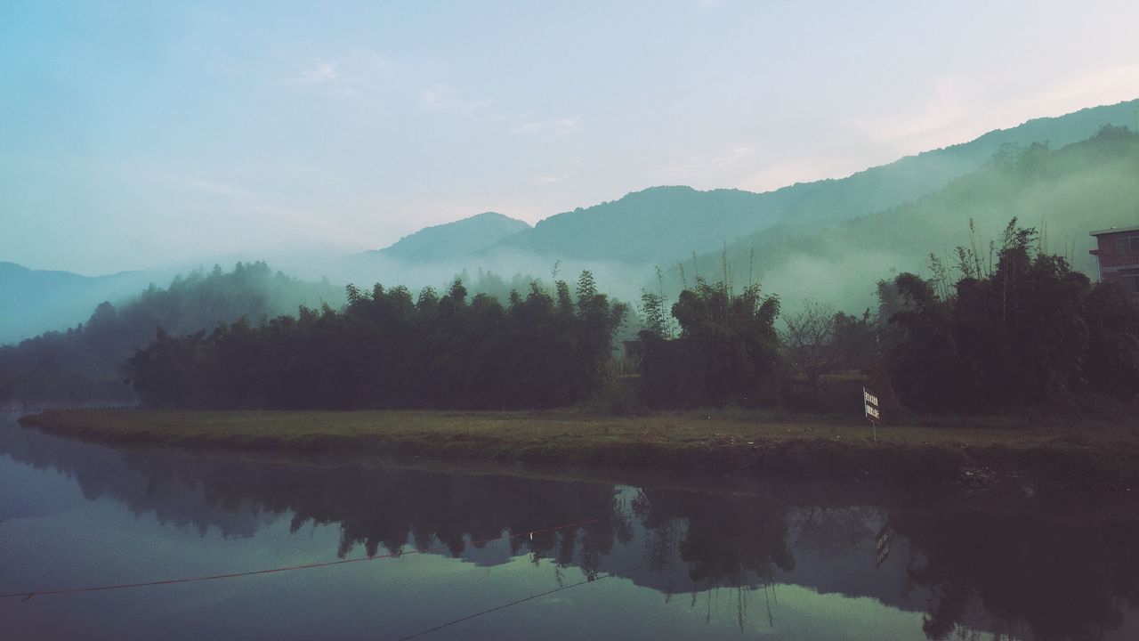 Wallpaper fog, river, morning