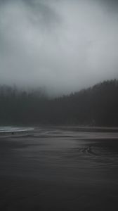 Preview wallpaper fog, river, trees, gloomy