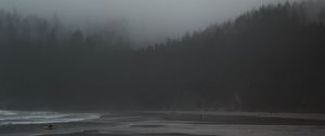 Preview wallpaper fog, river, trees, gloomy