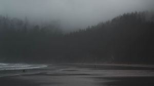 Preview wallpaper fog, river, trees, gloomy
