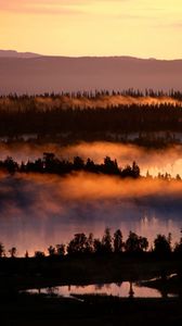 Preview wallpaper fog, river, trees, height