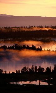 Preview wallpaper fog, river, trees, height