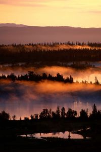 Preview wallpaper fog, river, trees, height