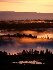 Preview wallpaper fog, river, trees, height