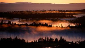 Preview wallpaper fog, river, trees, height