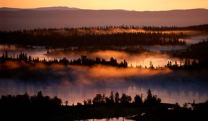 Preview wallpaper fog, river, trees, height