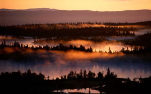 Preview wallpaper fog, river, trees, height