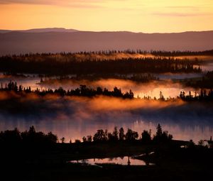 Preview wallpaper fog, river, trees, height