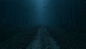 Preview wallpaper fog, road, forest, trees, autumn