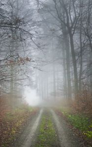 Preview wallpaper fog, road, forest, trees, nature