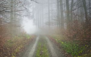 Preview wallpaper fog, road, forest, trees, nature