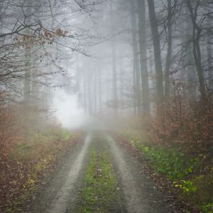 Preview wallpaper fog, road, forest, trees, nature