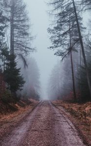 Preview wallpaper fog, road, gloomy, forest