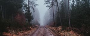 Preview wallpaper fog, road, gloomy, forest