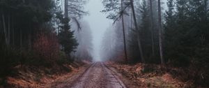 Preview wallpaper fog, road, gloomy, forest