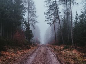 Preview wallpaper fog, road, gloomy, forest