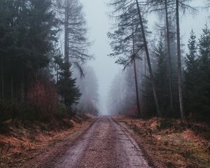 Preview wallpaper fog, road, gloomy, forest