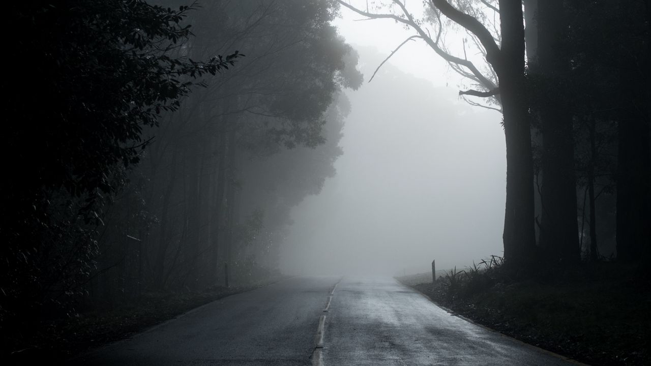 Wallpaper fog, road, trees, asphalt, emptiness